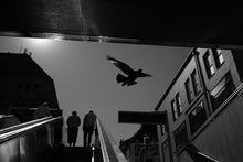 Load image into Gallery viewer, Classic X Film Simulations - The Classic Presets