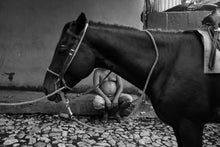 Load image into Gallery viewer, Kodachrome inspired Kwerfeldein x Friends Adobe Lightroom Presets by The Classic Presets