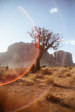 Load image into Gallery viewer, Being Trägi - The Classic Presets