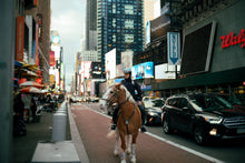 Load image into Gallery viewer, Classic Mini Lab 2026 - Kodacolor Edition
